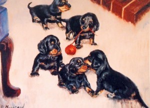 Dachshund graphics