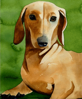Dachshund graphics