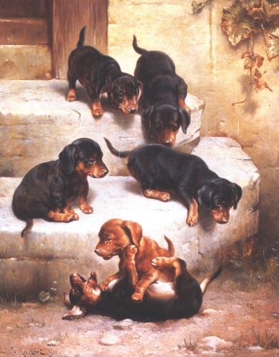 Dachshund graphics