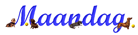 Dachshund graphics