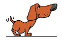 Dachshund graphics