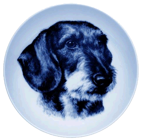 Dachshund graphics