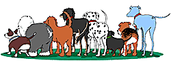 Dachshund graphics