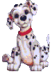Dalmatians graphics