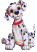 Dalmatians graphics