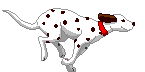 Dalmatians graphics