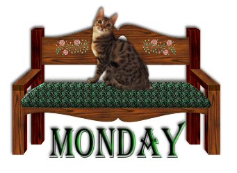 Days graphics