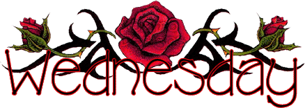 Days graphics