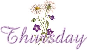 Days graphics