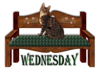 Days graphics