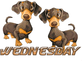 Days graphics