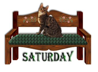 Days graphics