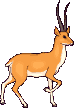 Deers graphics