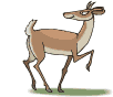 Deers graphics