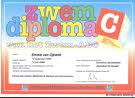 Diploma graphics