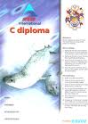 Diploma graphics