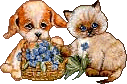 Dogs cats graphics