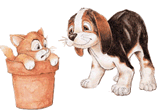 Dogs cats graphics