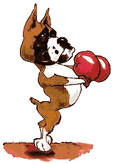 Dogs graphics