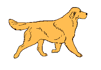 Dogs graphics
