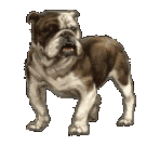 Dogs graphics