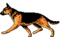 Dogs graphics