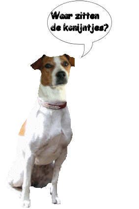 Dogs graphics
