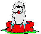 Dogs graphics