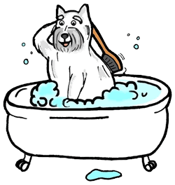 Dogs graphics