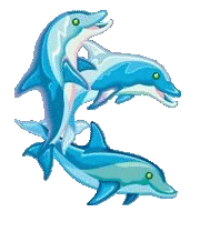 Dolphins