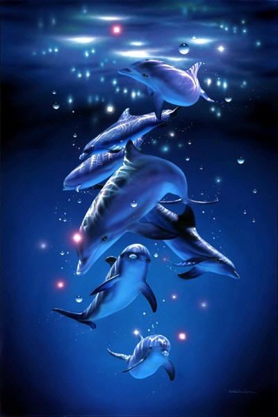 Dolphins