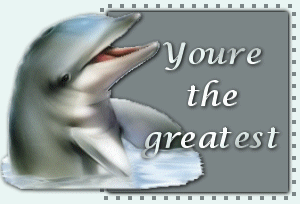 Dolphins graphics