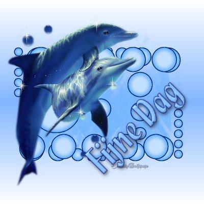 Dolphins graphics