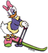 Donald duck