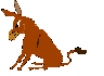 Donkey graphics