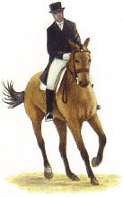 Dressage