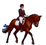 Dressage graphics