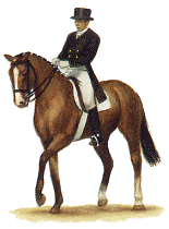 Dressage