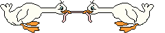 Ducks