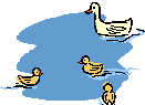 Ducks graphics