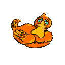 Ducks graphics