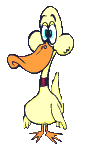 Ducks graphics