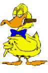 Ducks graphics