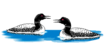 Ducks graphics