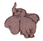Dumbo graphics