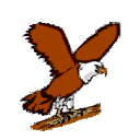 Eagle graphics