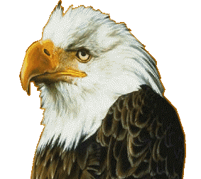 Eagle graphics