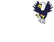 Eagle graphics