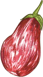 Eggplant