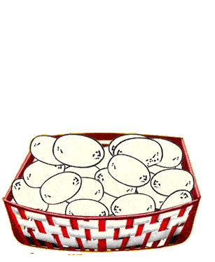 Eggs graphics